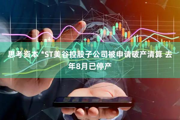 思考资本 *ST美谷控股子公司被申请破产清算 去年8月已停产
