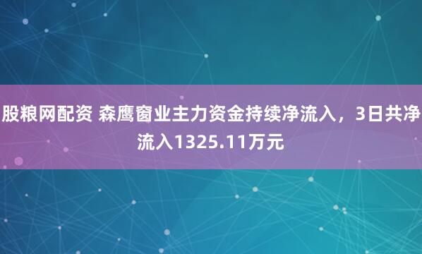 股粮网配资 森鹰窗业主力资金持续净流入，3日共净流入1325.11万元